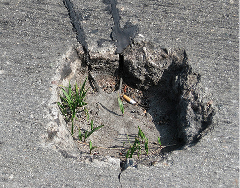 I have no idea if this pothole on Sunset Boulevard was ever filled, this phot is from 20 months ago. But you know what's a really bad sign? When your potholes are growing grass. Photo:##http://www.flickr.com/photos/sreed99342/3532530951/##SReed99342/Flickr##