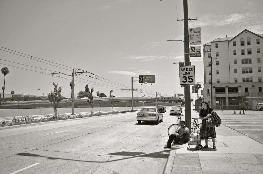 Shameless luxuriating at S. Flower St., just south of Adams. Sahra Sulaiman/Streetsblog L.A.