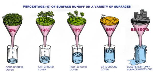 As the amount of paved surfaces increase, the amount of rainwater running off increases. source: Upper Parramatta River Catchment Education Resource Kit