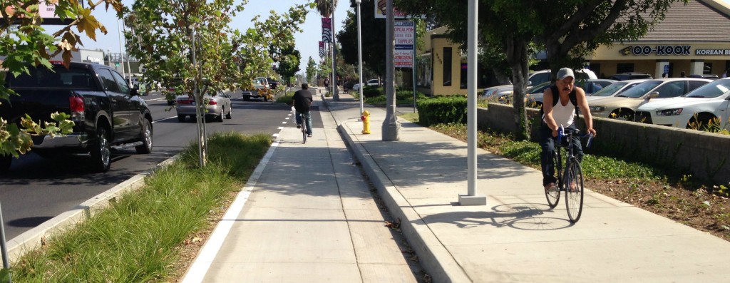 Even with most cyclists going the correct direction, there were infrequent "salmon" 