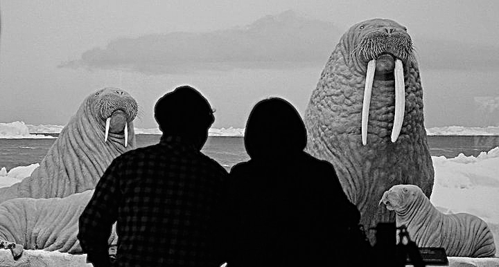 Observing the observers at the Natural History Museum. Sahra Sulaiman/Streetsblog L.A.