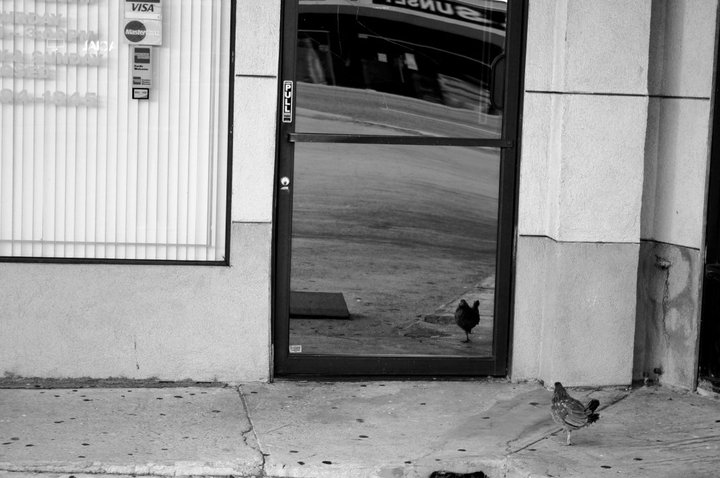 When a Progressive Community Fails to See Its Own Biases, Bullying and Bigotry Get a Pass