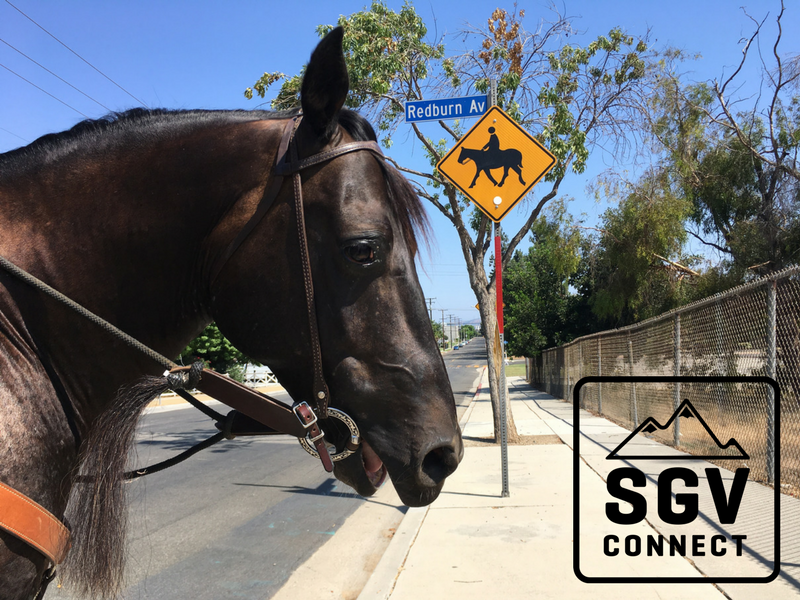 SGV Connect 5 – Horse Riding in the San Gabriel Valley