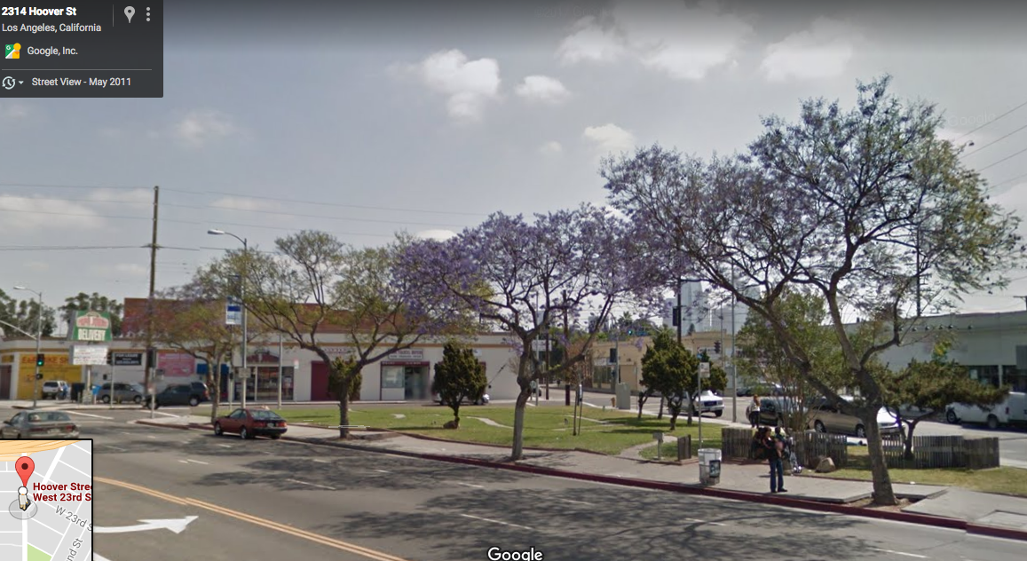 A spring, 2011, Google map image shows the grass just before it dies and the Jacaranda and other trees that helped shade those waiting for the bus.