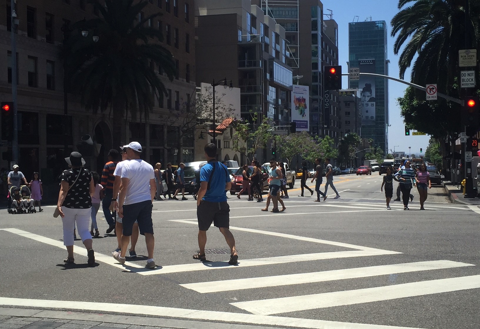 HollywoodVine118Jul20