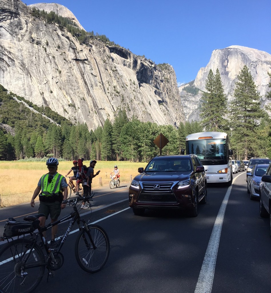 Yosemite Enforces Its Bus-Only Lanes, But How Can the Park Better Manage Car Traffic?