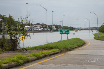 Dems in Congress Vow to Fight Trump on New Climate Rules