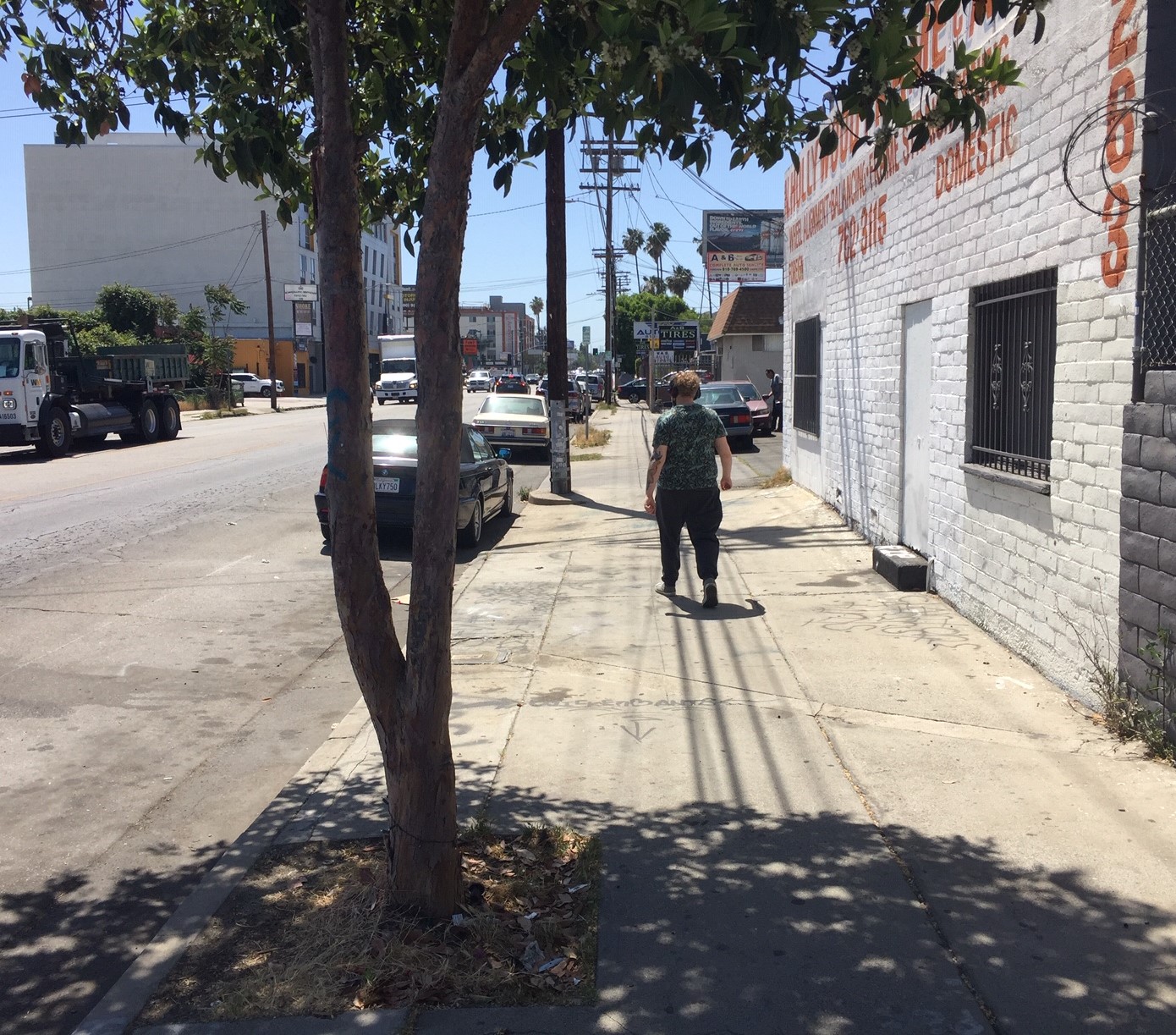 The city widening project would remove a few mature street trees, replacing them with new plantings
