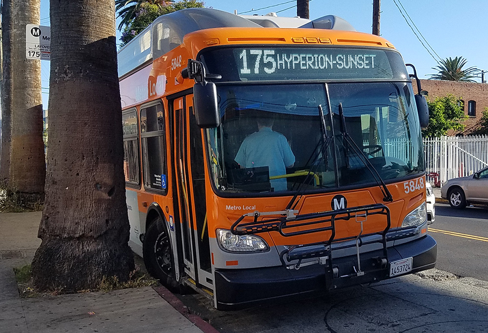 Remembering Line 175: The Bus Line that Shaped My Youth