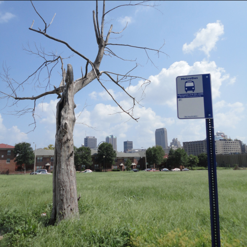 U.S. Cities Have More Car-Free Households Than You Think