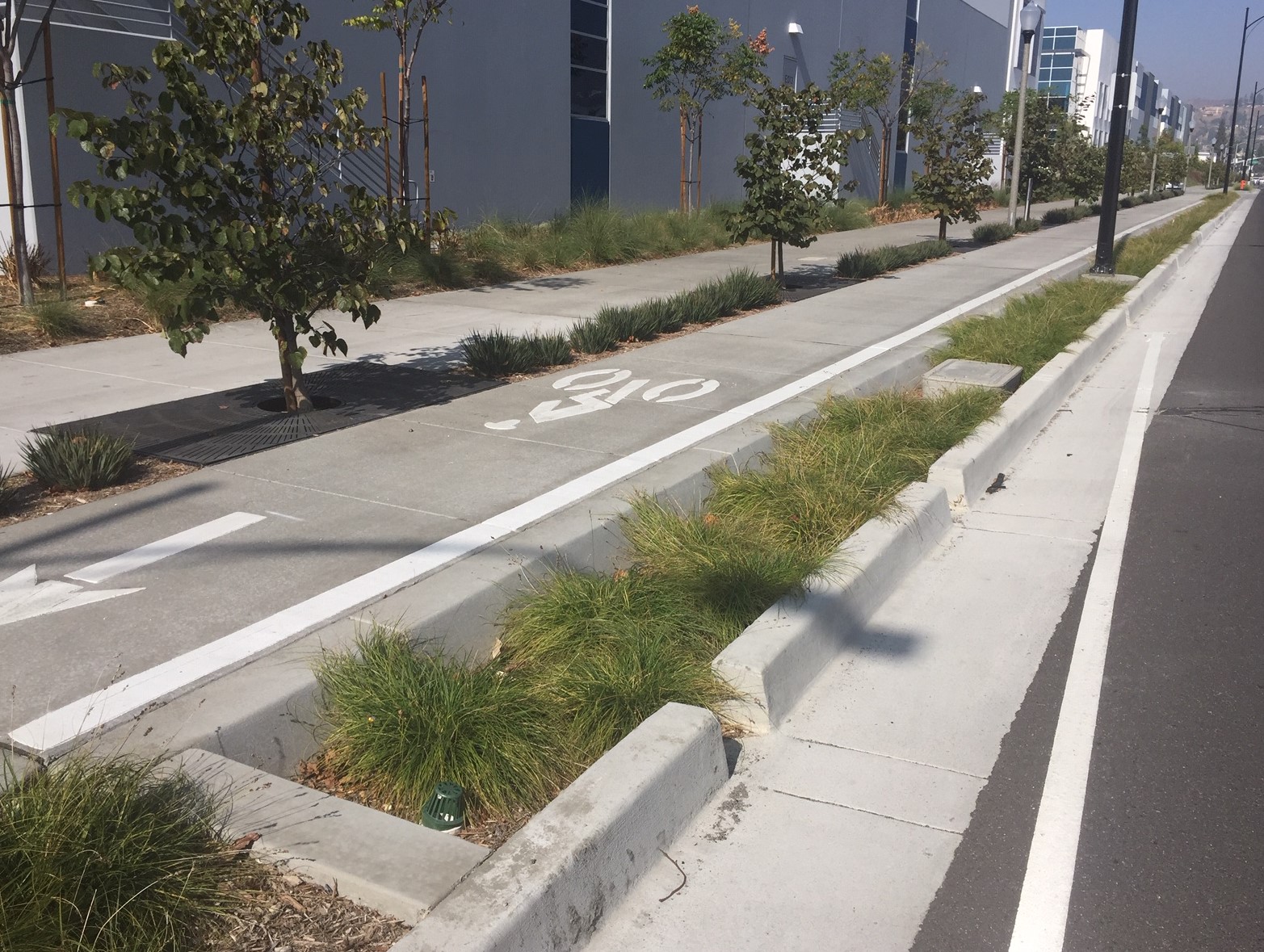 Slots in the curb allow rainwater runoff to water landscaping