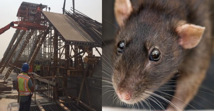 L.A. Times’s Latest High-Speed Hypocrisy