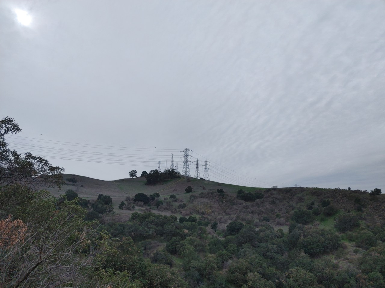 View of Schabarum Trail Peak. Credit: Chris Greenspon/SBLA
