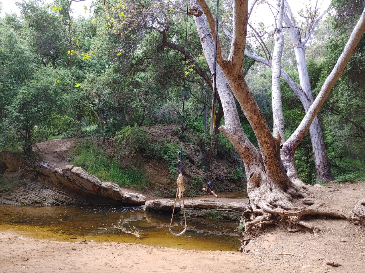 Credit: Chris Greenspon/SBLA