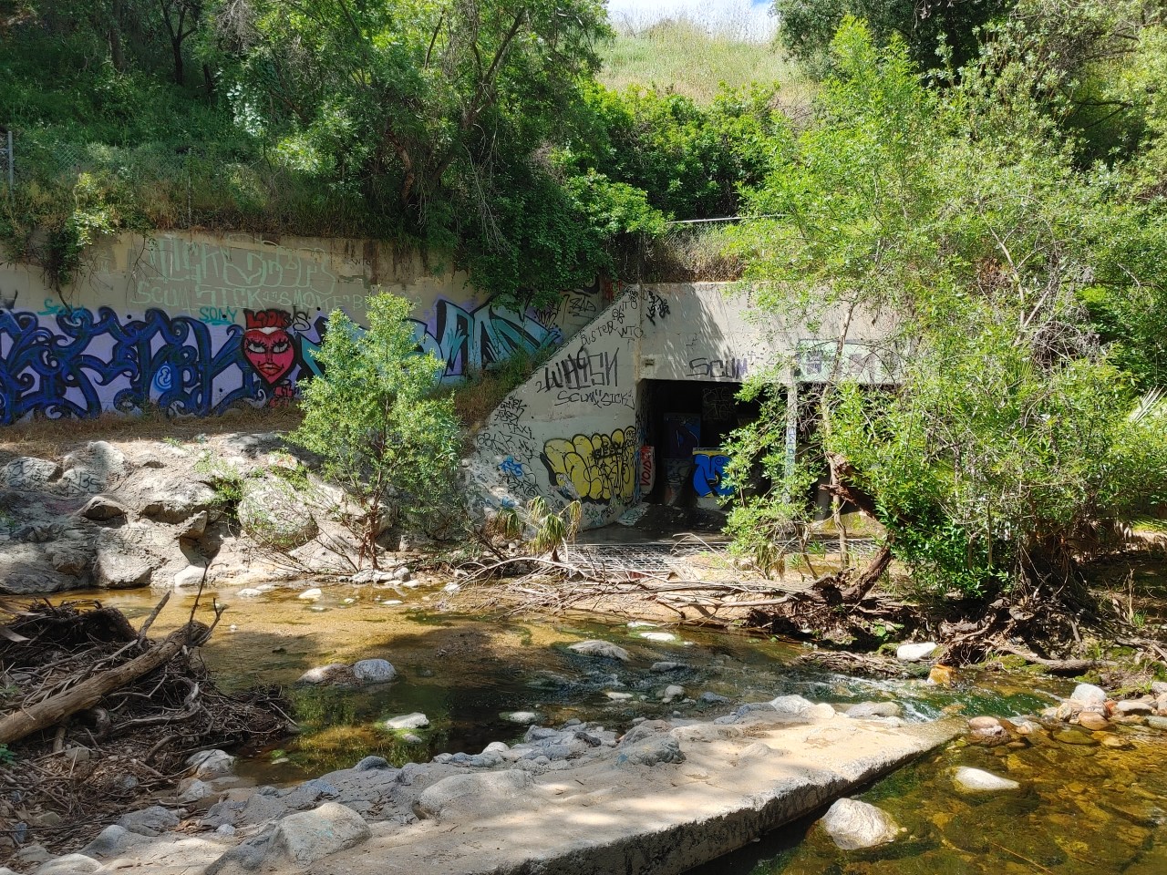 Credit: Chris Greenspon/SBLA