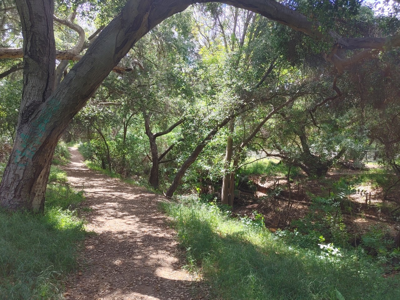 Credit: Chris Greenspon/SBLA