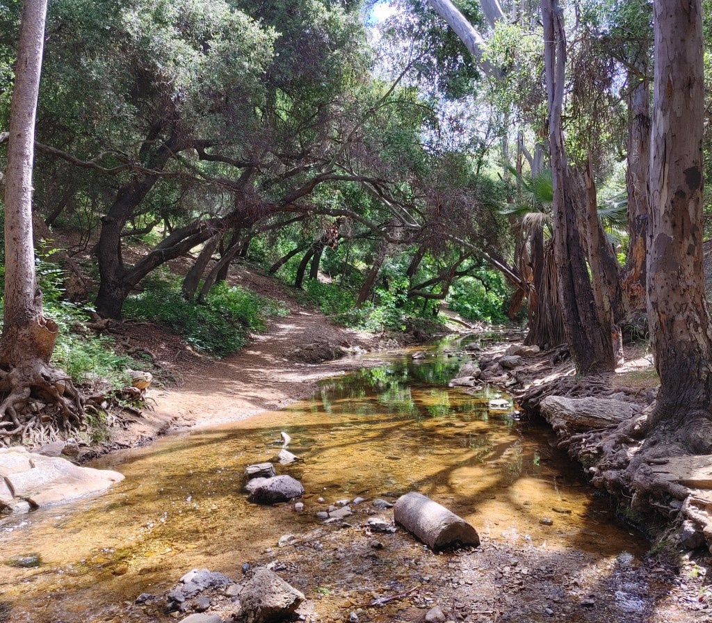 SGV Hikes and Bikes: Walnut Creek in Covina/San Dimas