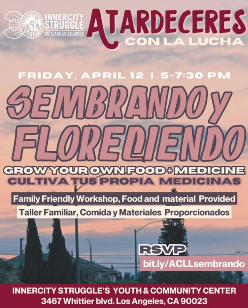 This Week in Livable Streets