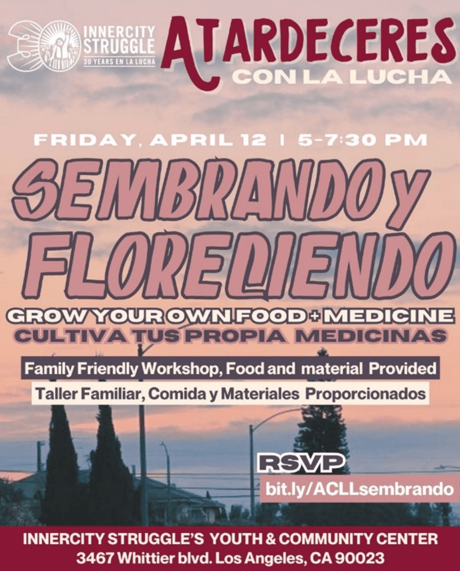 This Week in Livable Streets