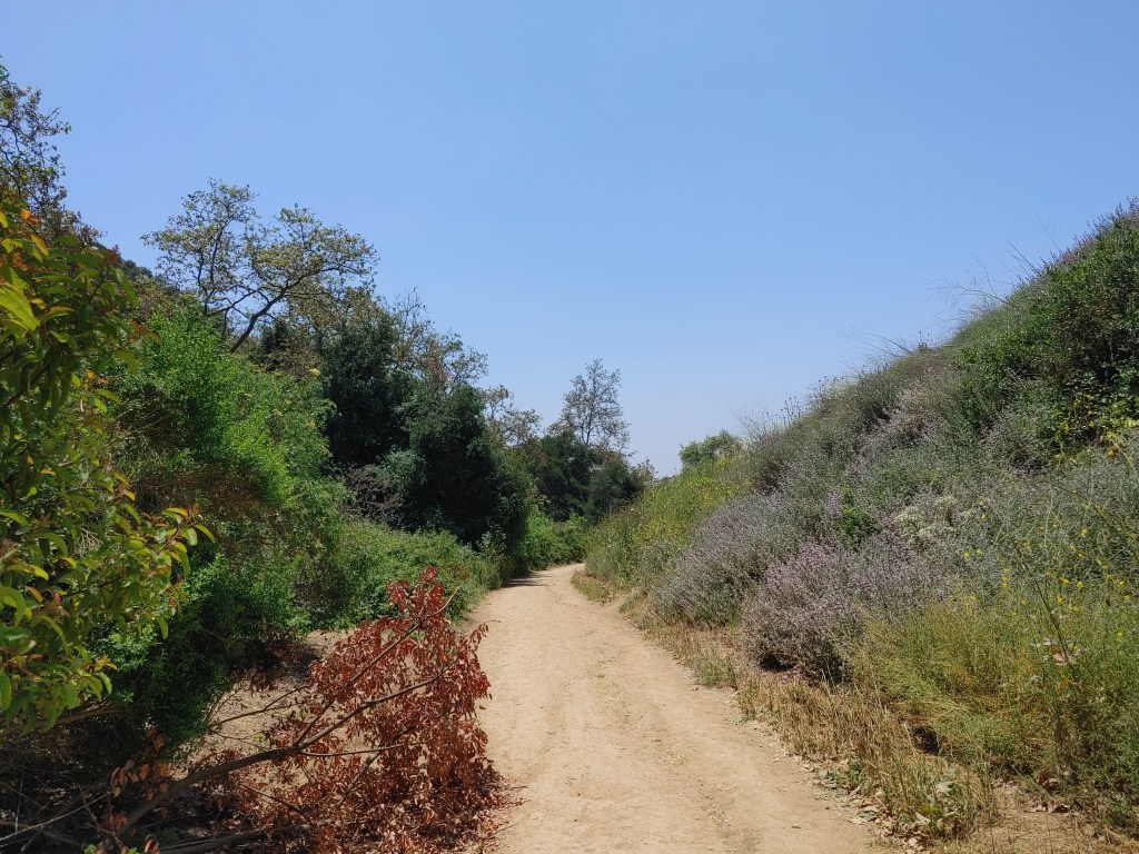 SGV Hikes and Bikes: Turnbull Canyon