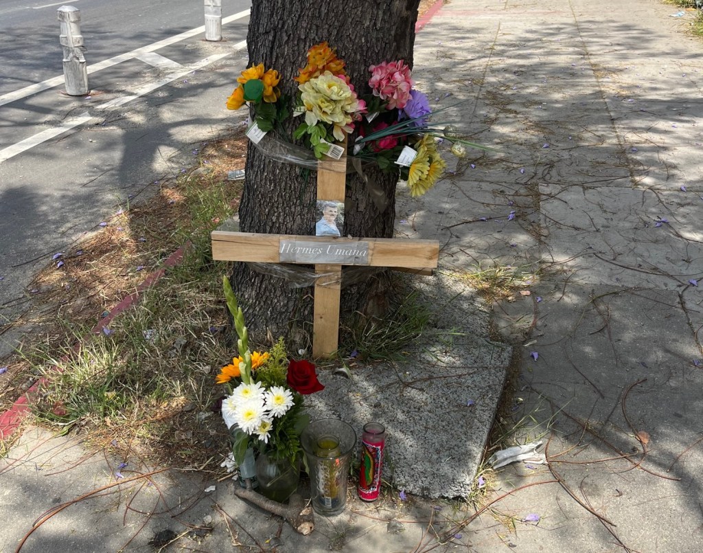 Friday’s Headlines