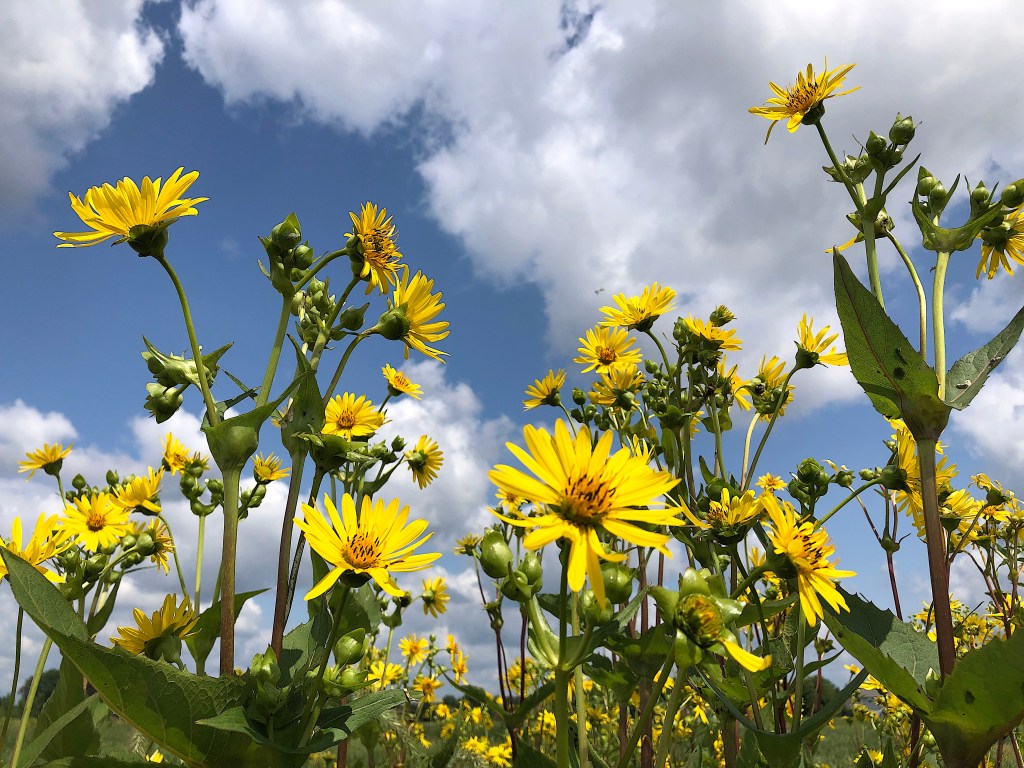 Friday’s Headlines