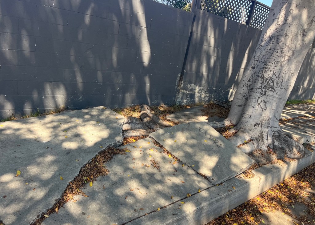 Wednesday’s Headlines