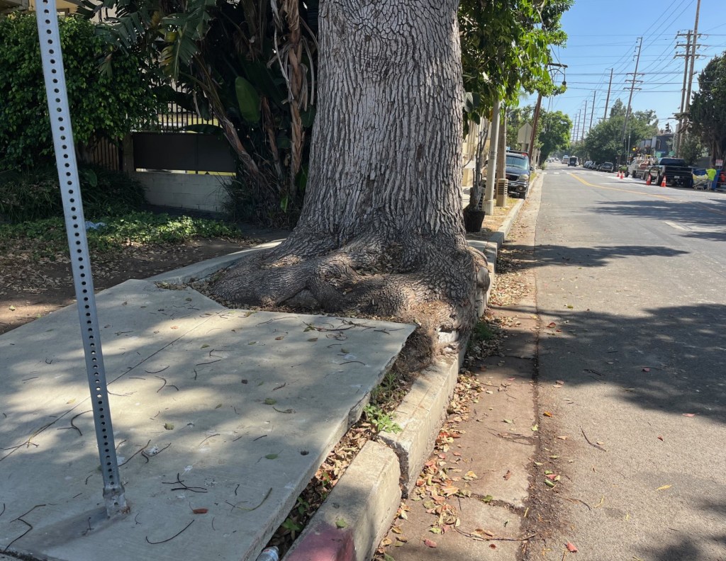 Tuesday’s Headlines