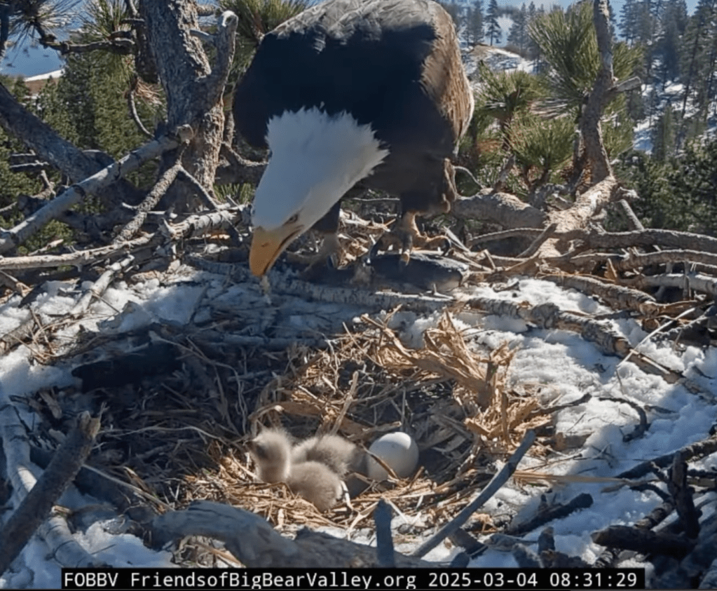 Tuesday’s Headlines