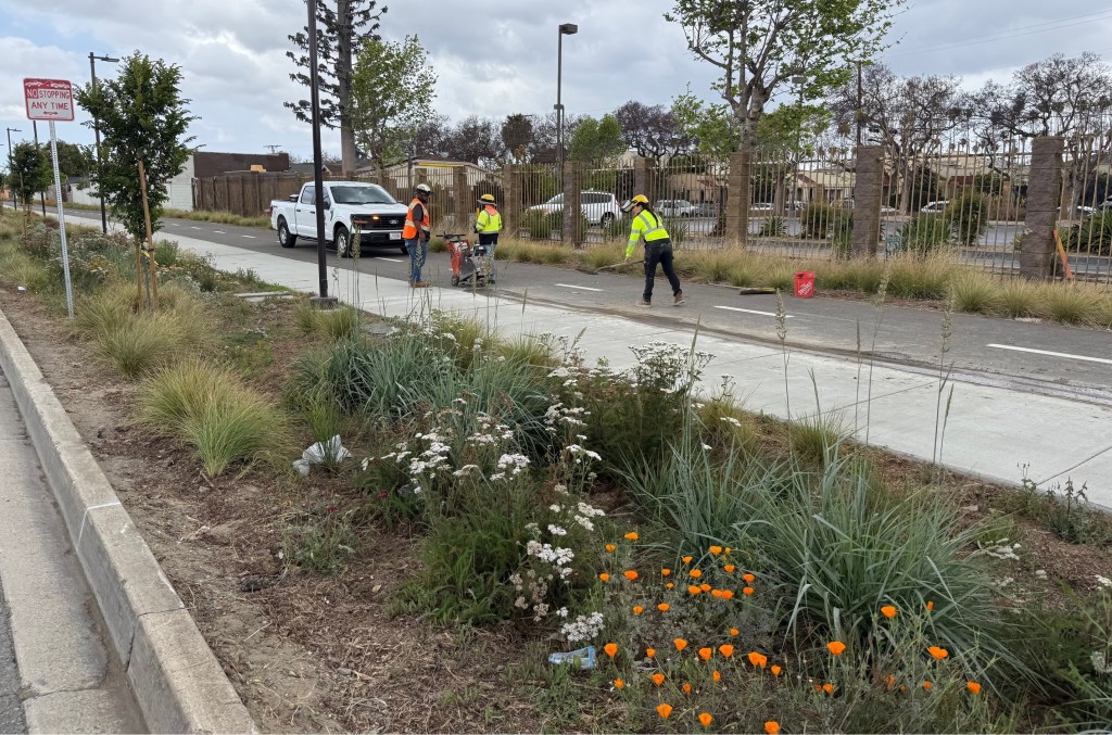 This Week In Livable Streets