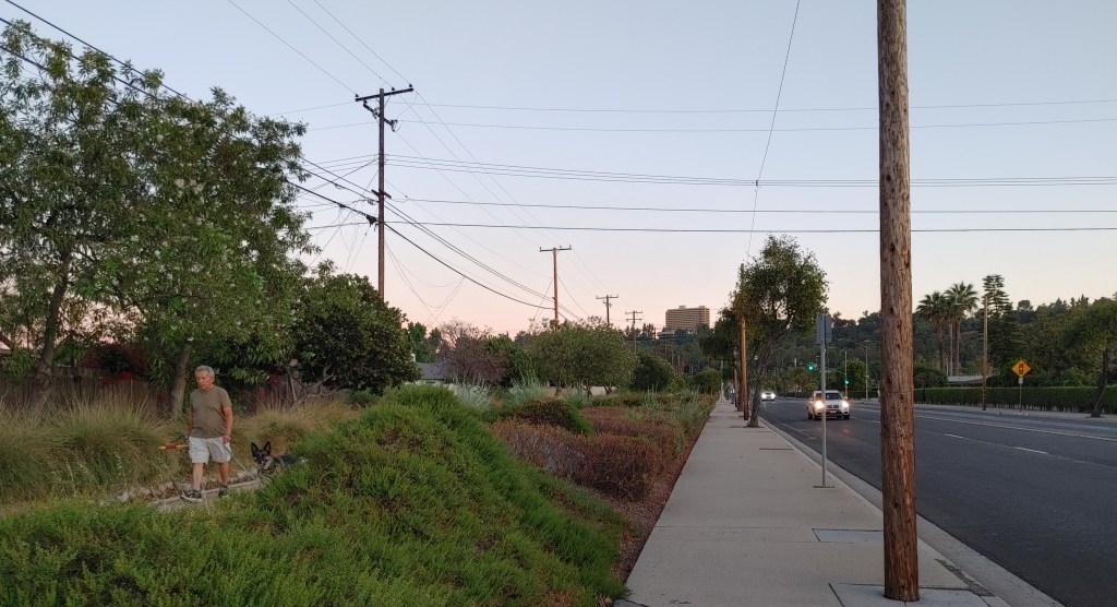 Valinda Avenue’s Landscaped Walkway is a Community Treasure