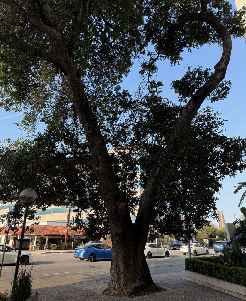 Wednesday’s Headlines