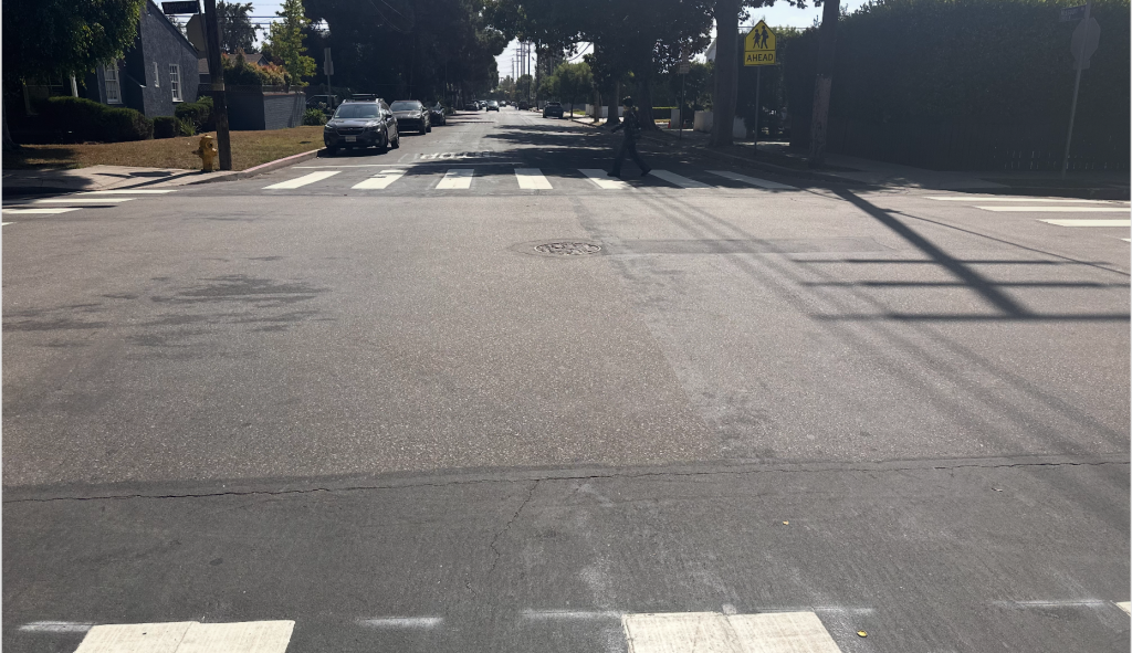 Angelenos Are Crying Out for Safe Streets, Is Anyone Listening?