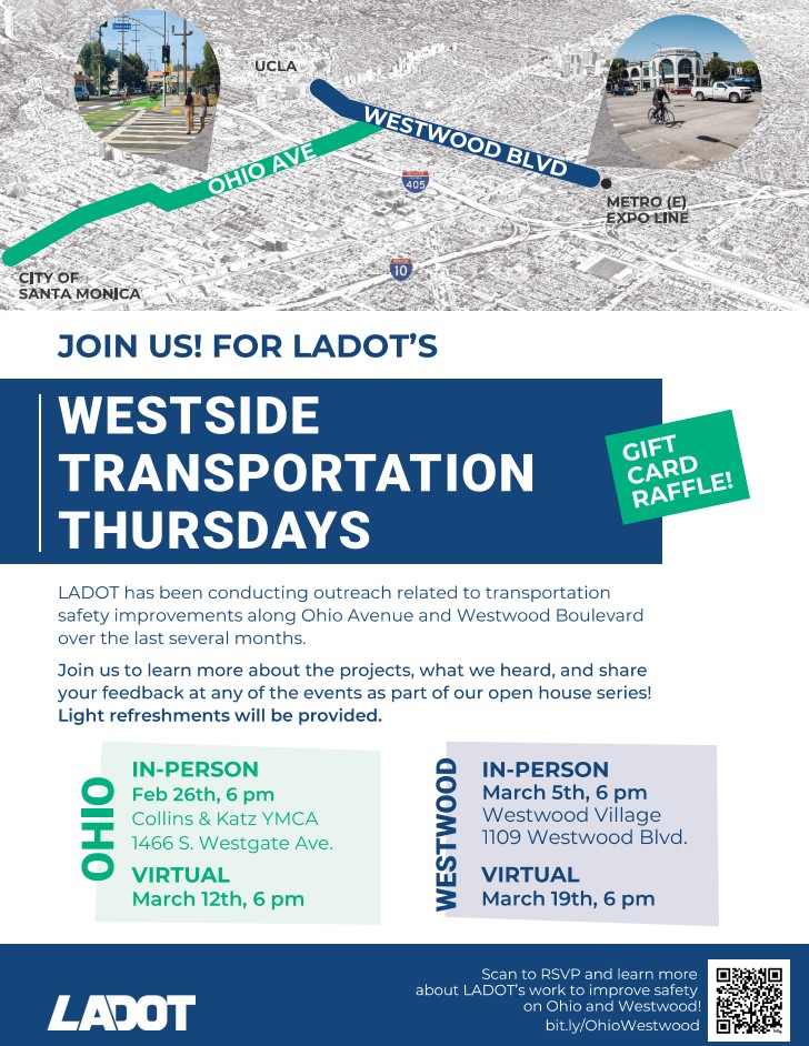 This Week In Livable Streets