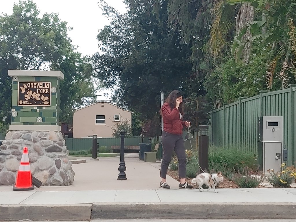 Eyes on the Street: Grevelia Pocket Park