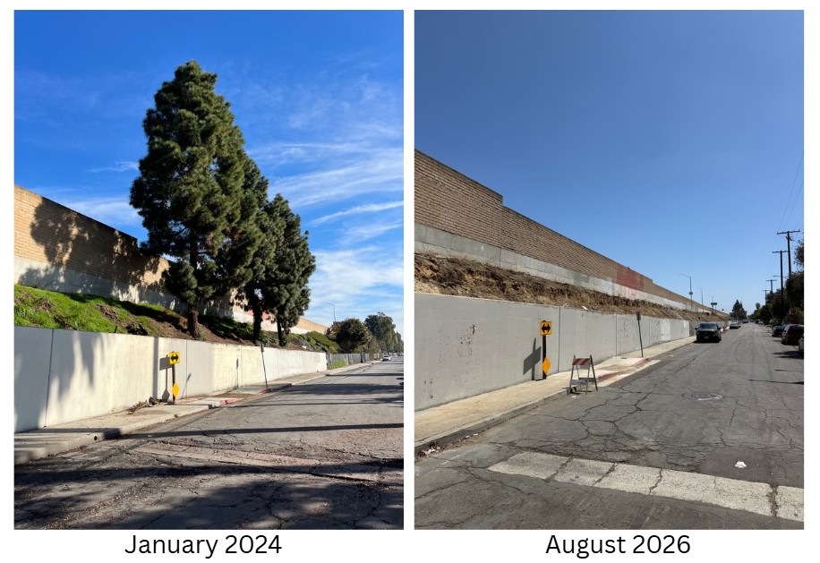 Metro Clearing Mature Trees to Widen 91 Freeway through North Long Beach