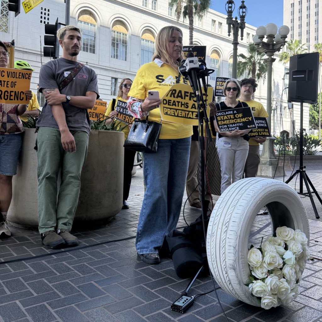 Traffic Violence Victims Urge Mayor and Council to Declare Emergency, Make Streets Safer