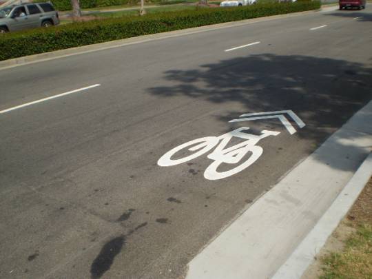 sharrows.jpg